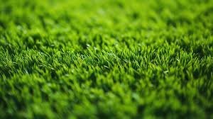 الثيل الصناعي